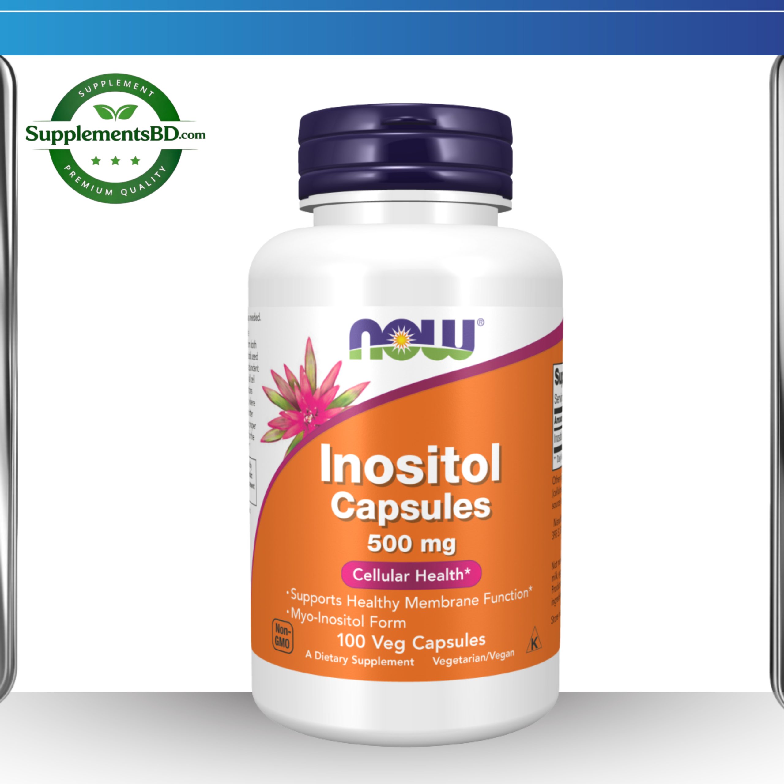 Now Inositol Capsules 500 mg – (100 Veg Capsules)