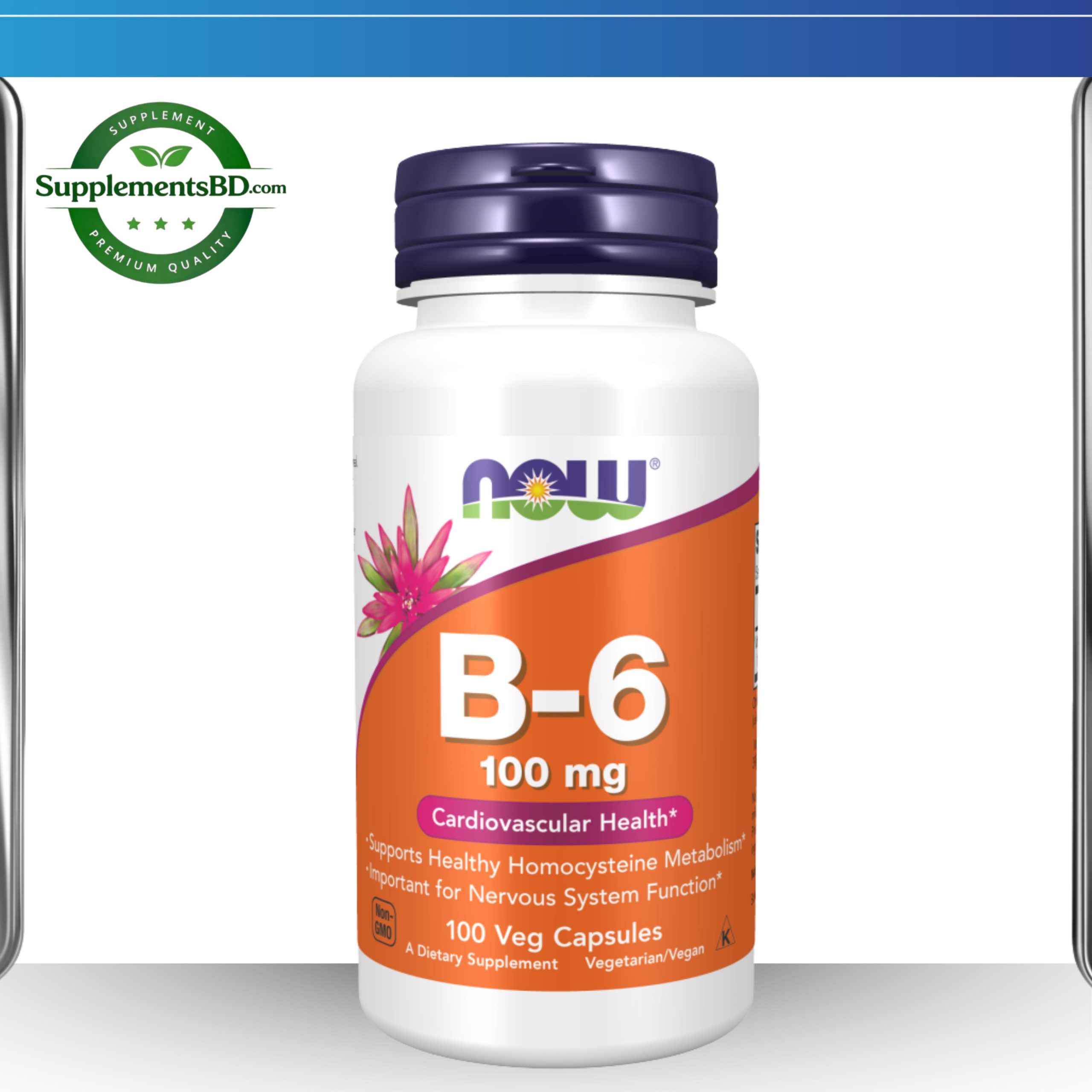 NOW Vitamin B-6 (100 mg) – (100 Veg Capsules)